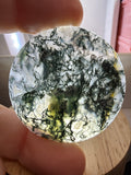 Moss Agate Pendant