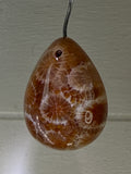 Fossil Coral Pendant