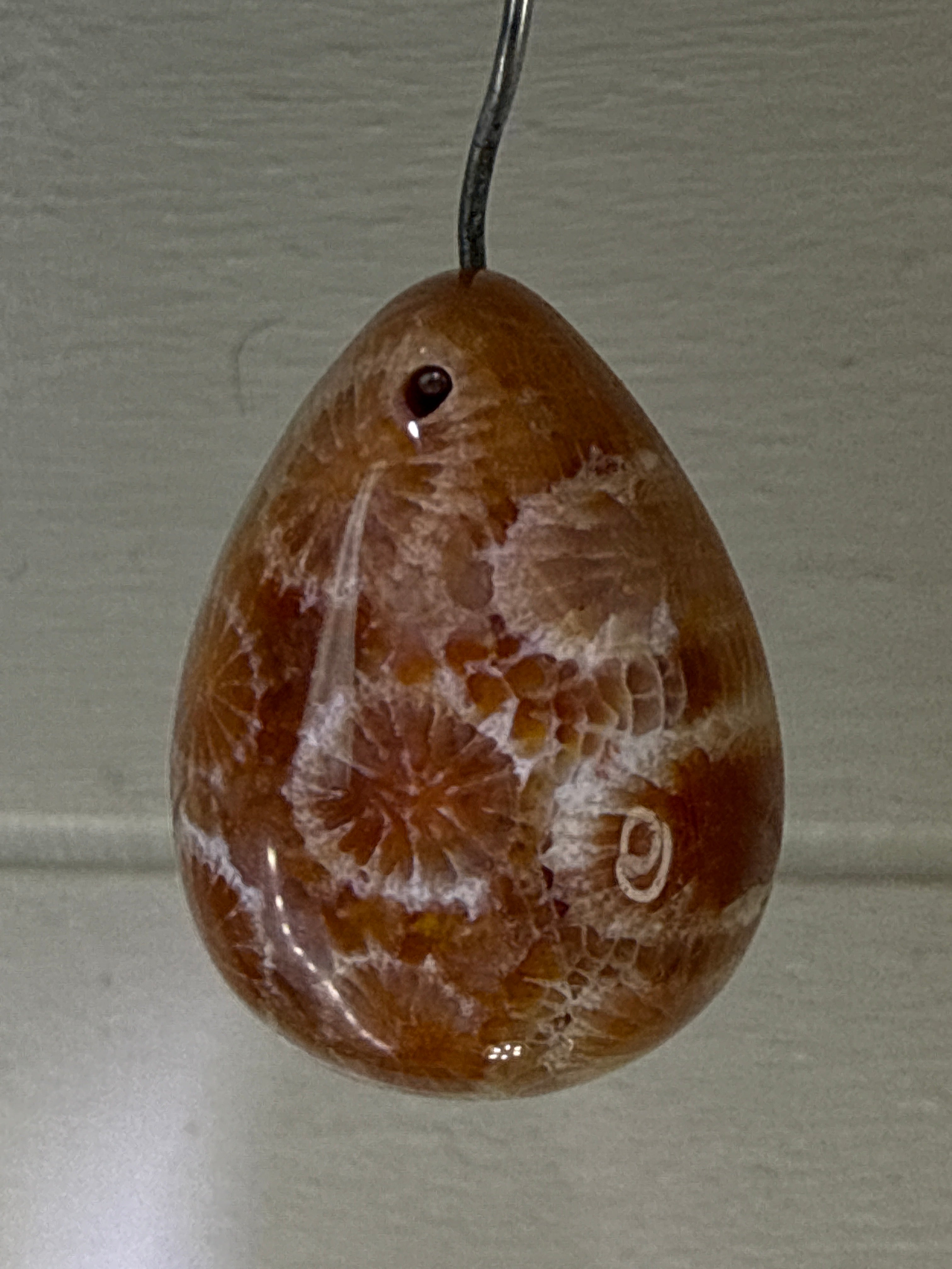 Fossil Coral Pendant