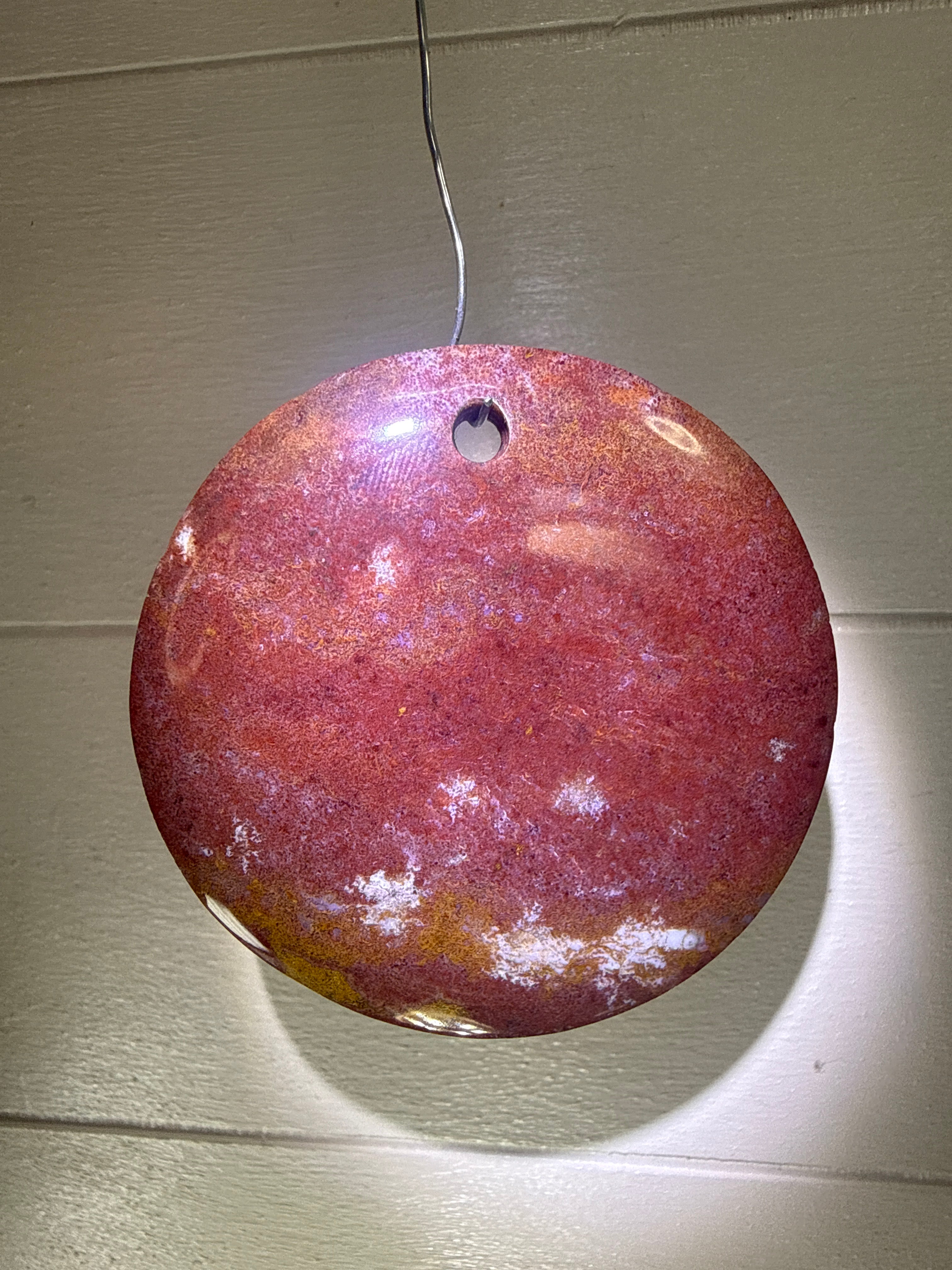 Petrified Wood Pendant