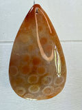 Fossil Coral Pendant