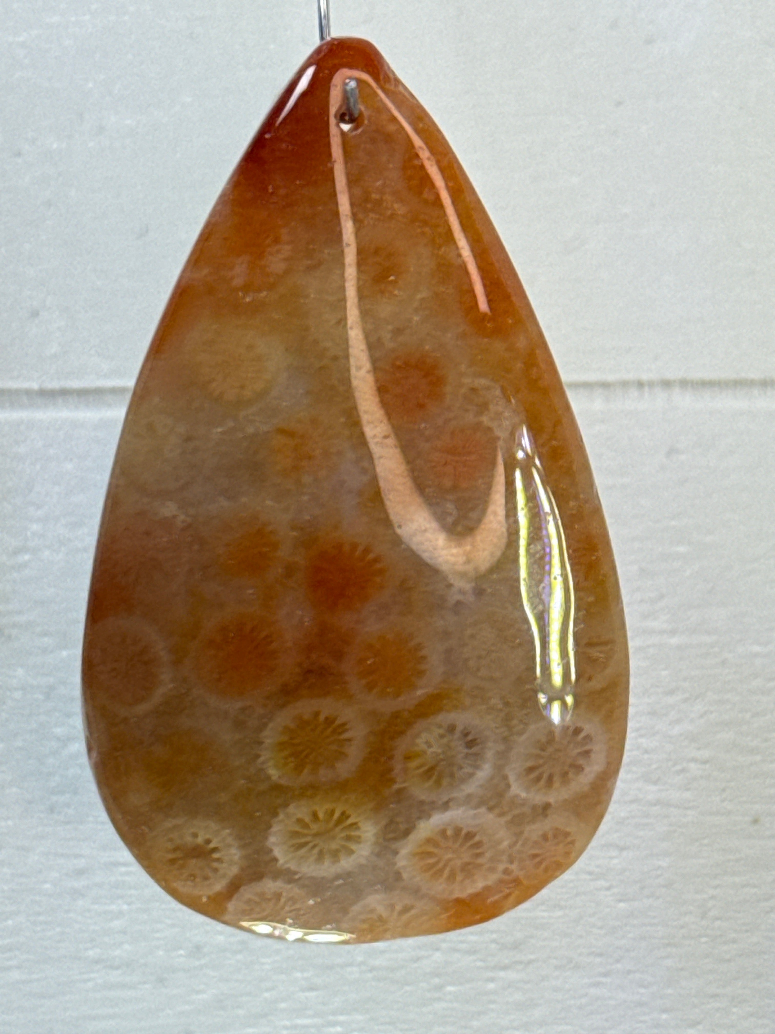 Fossil Coral Pendant