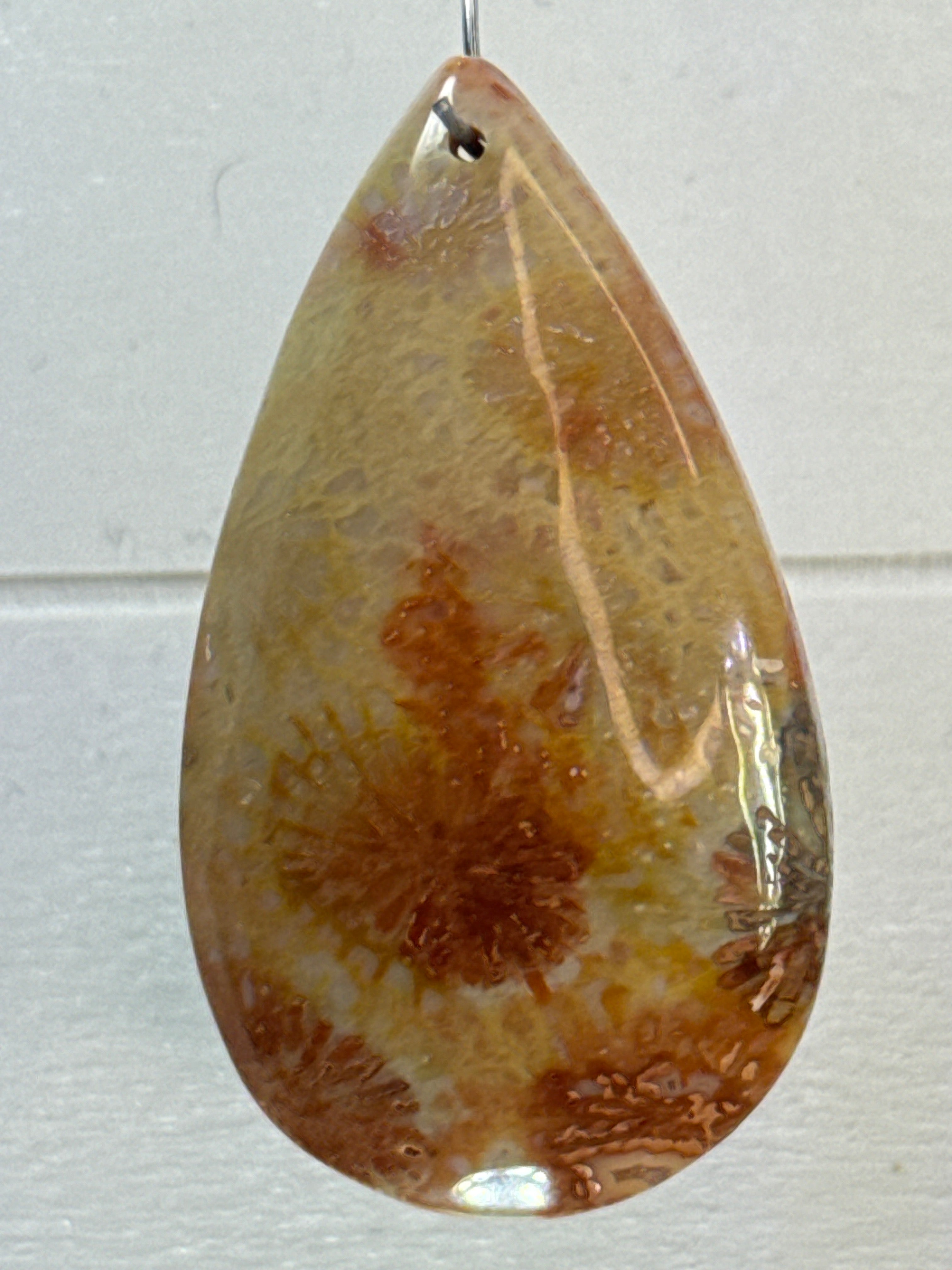 Fossil Coral Pendant