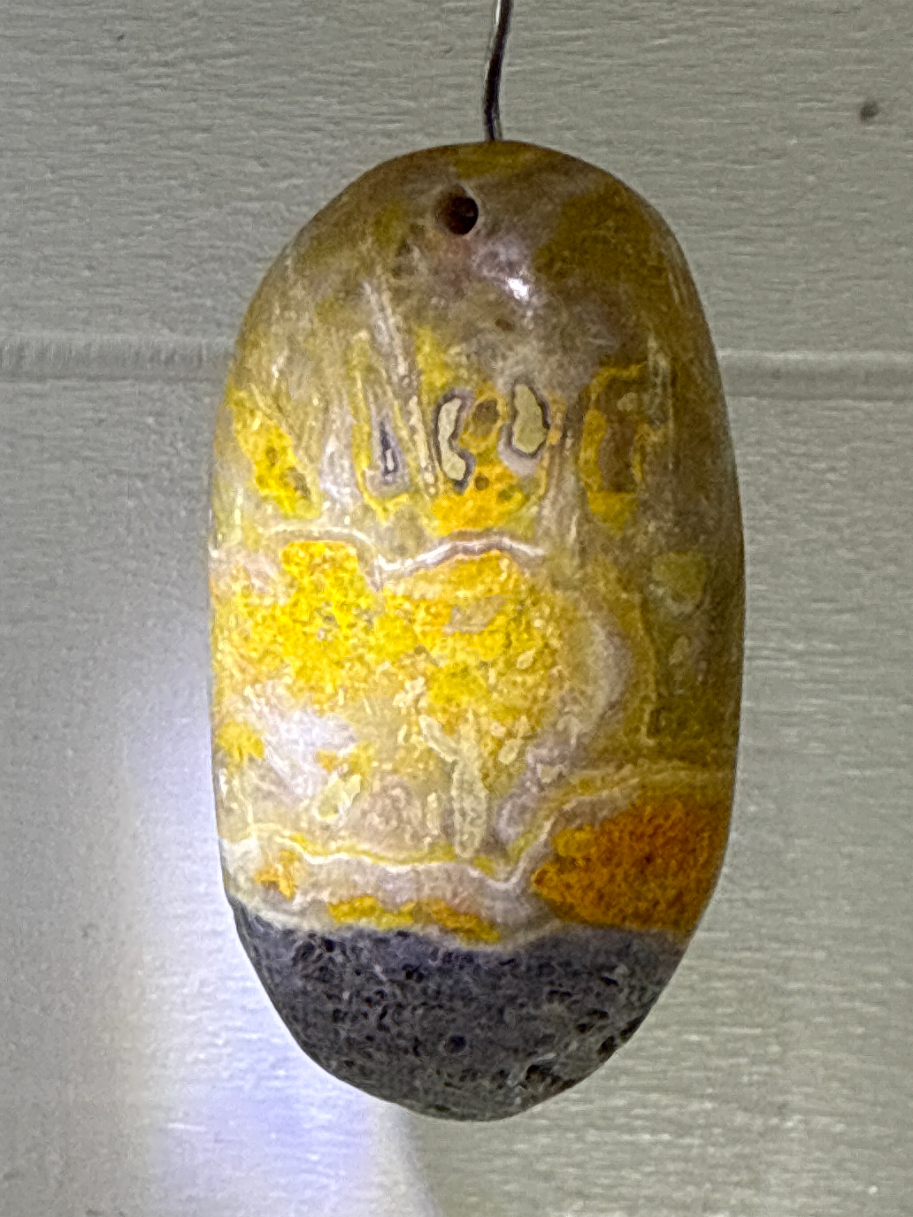 Bumblebee Jasper Pendant