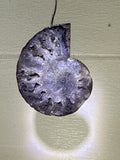 Druzy Ammonite Pendant