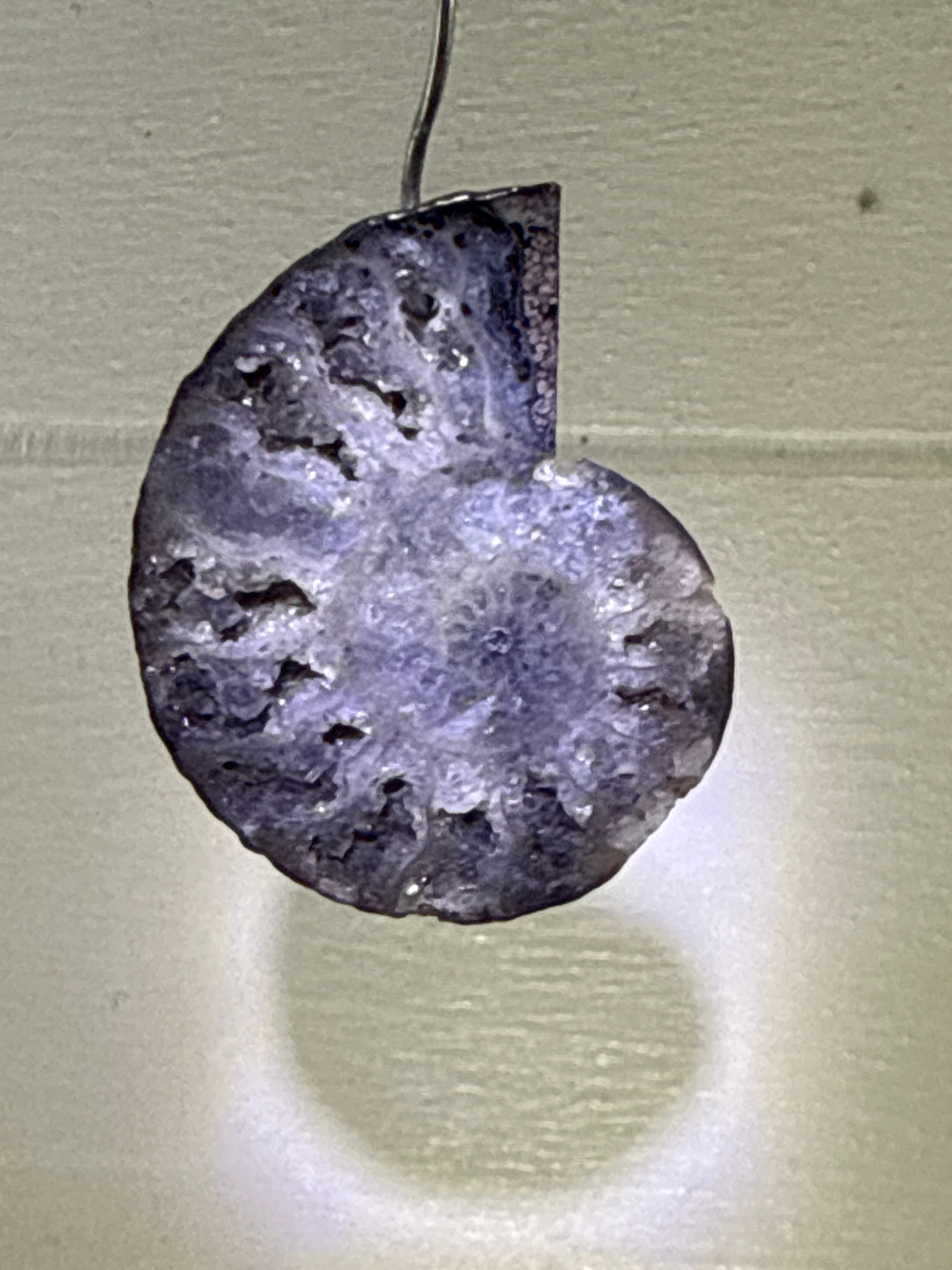 Druzy Ammonite Pendant