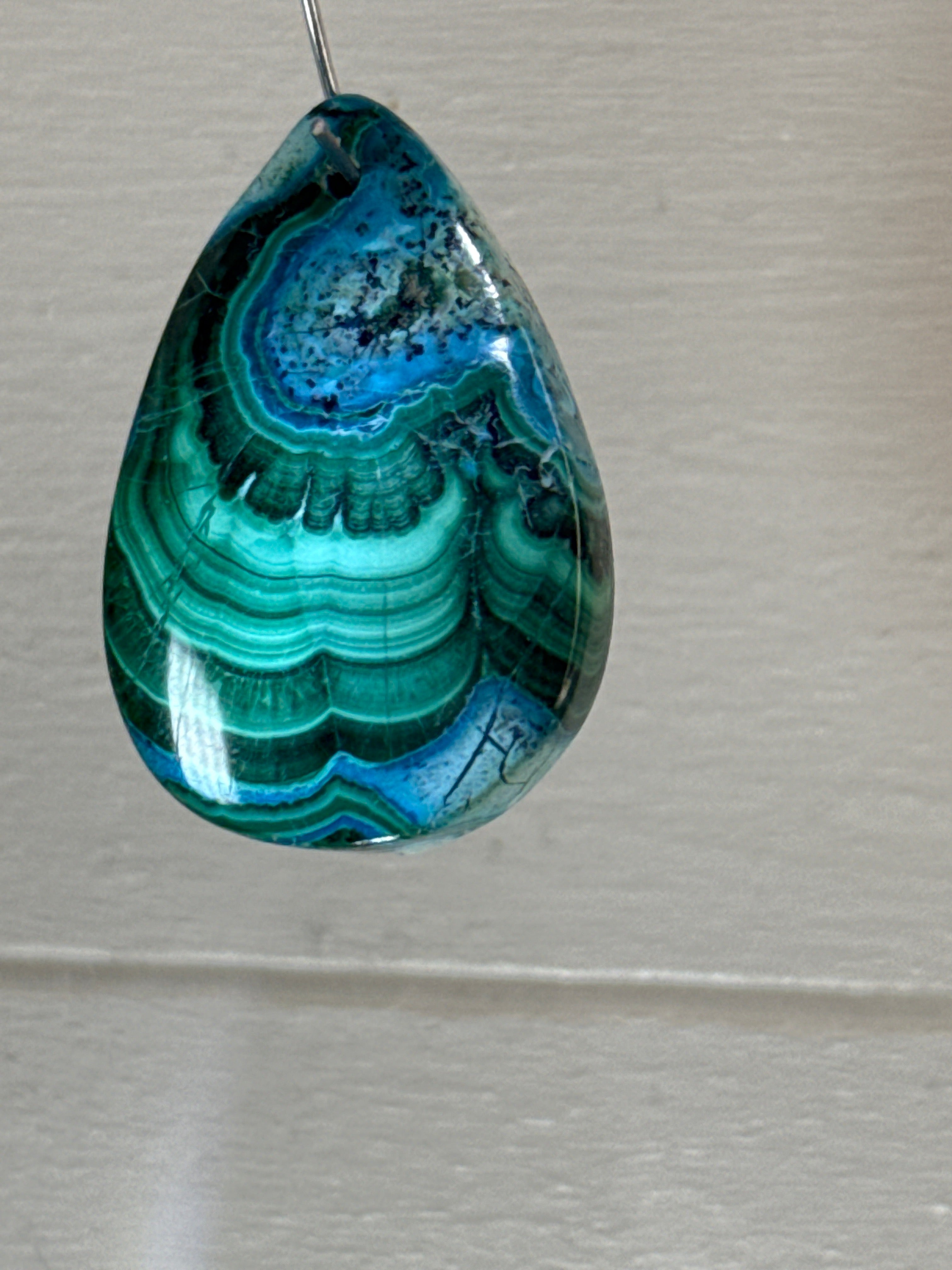 Malacholla Pendant