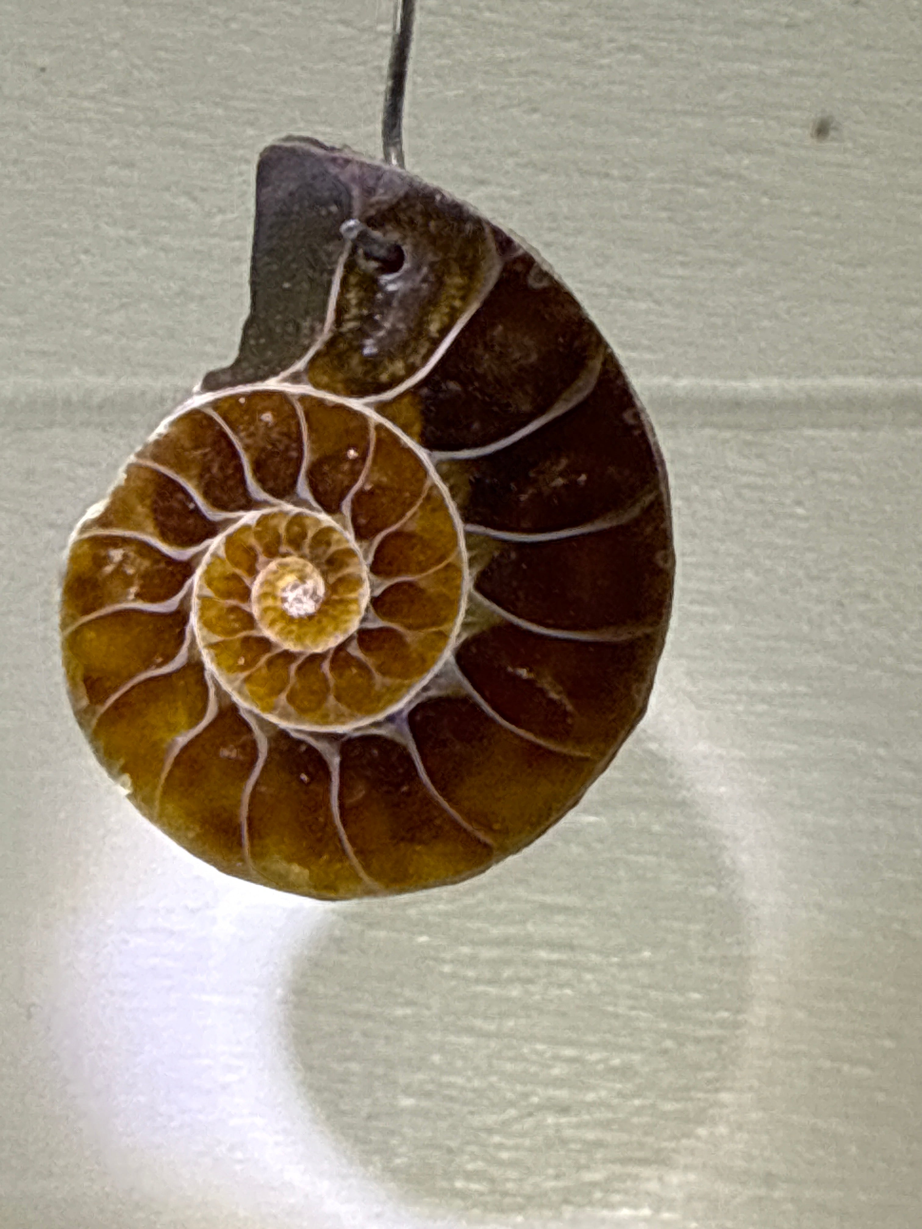 Ammonite Pendant
