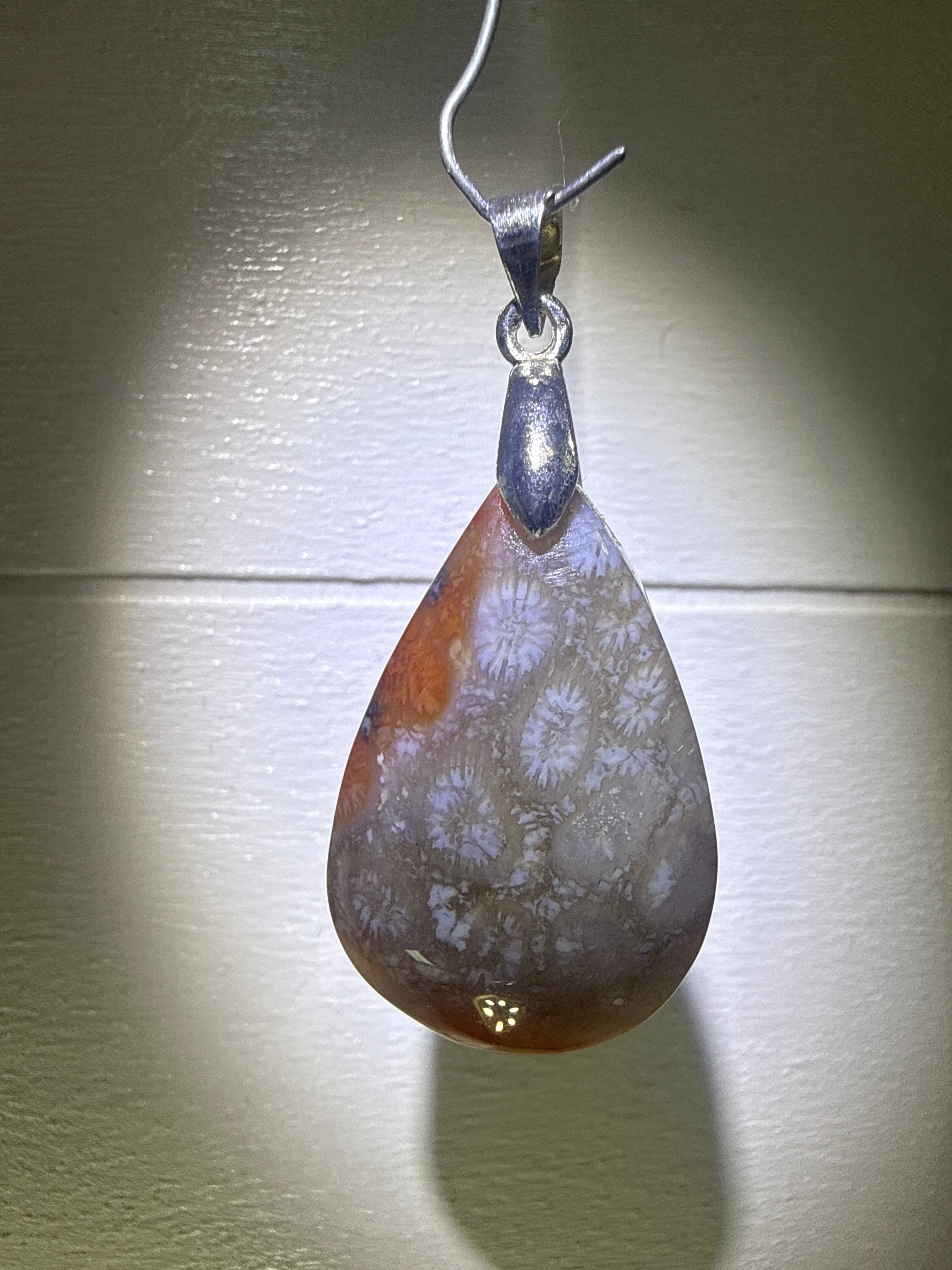 Fossil Coral Pendant