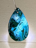 Malacholla Pendant