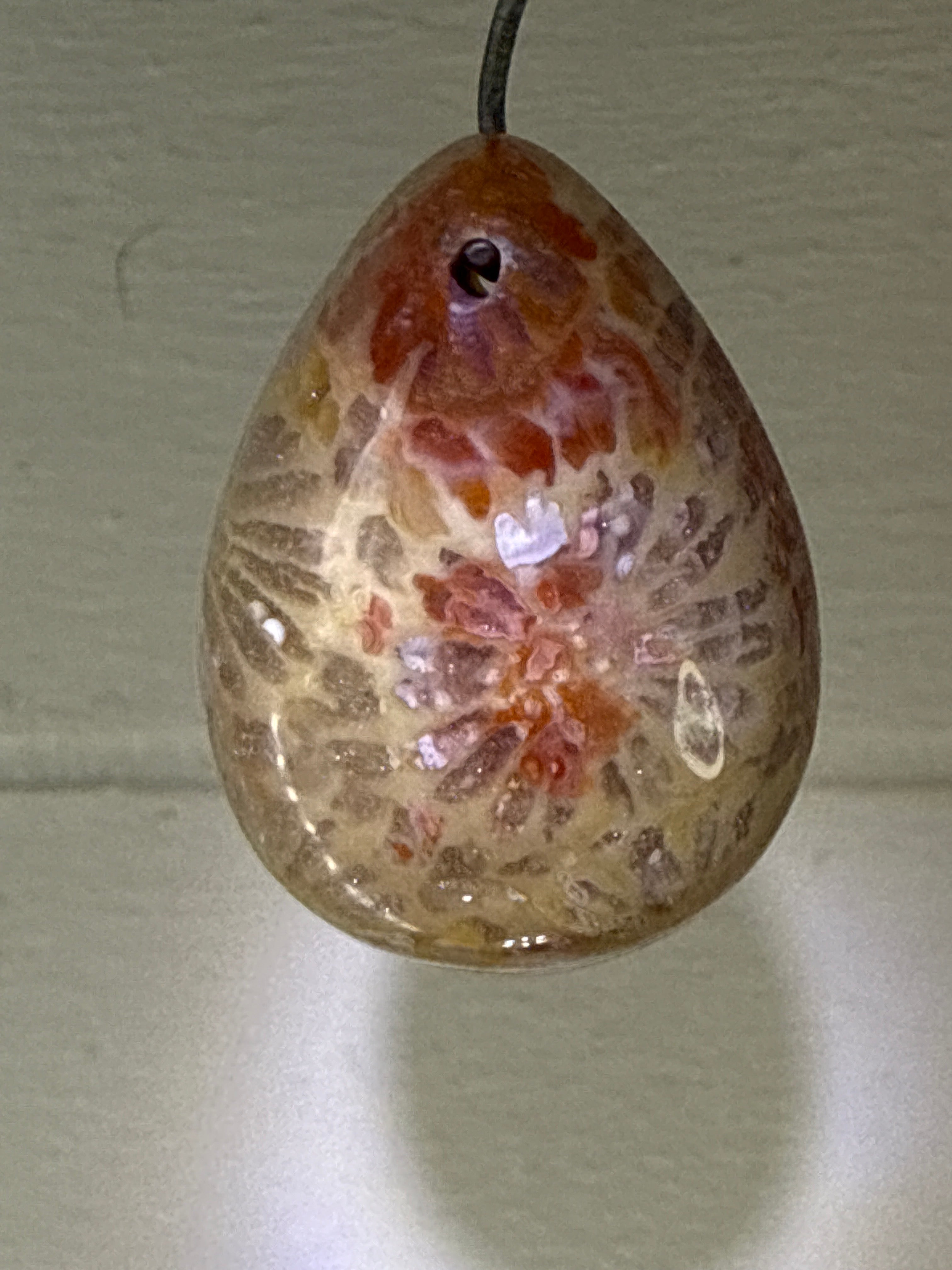 Fossil Coral Pendant