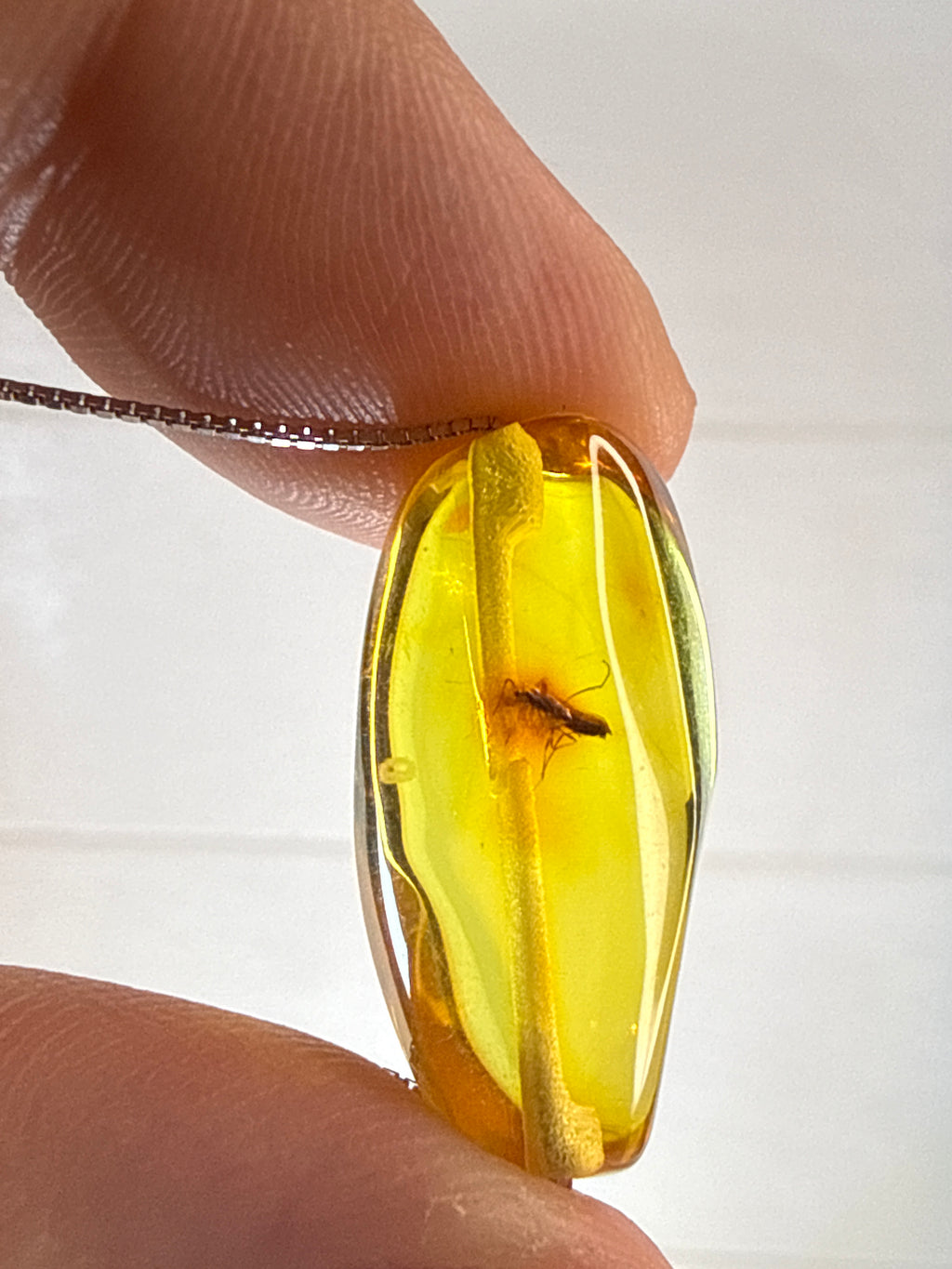 Amber Pendant with Mosquito