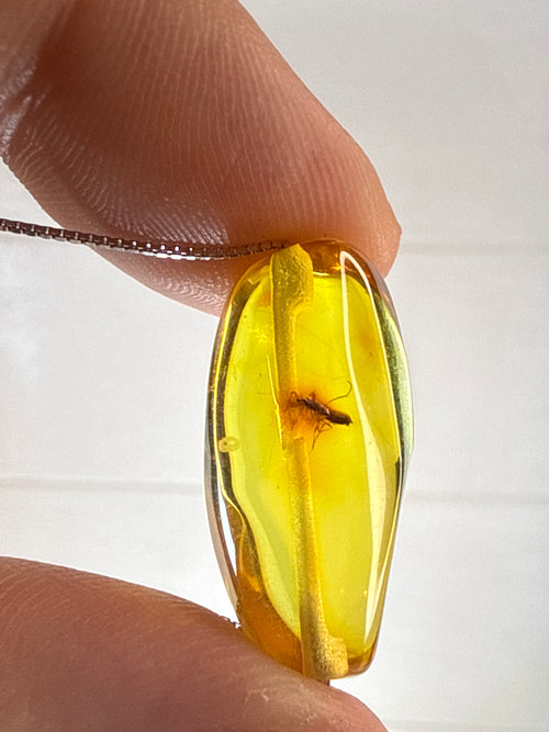 Amber Pendant with Mosquito