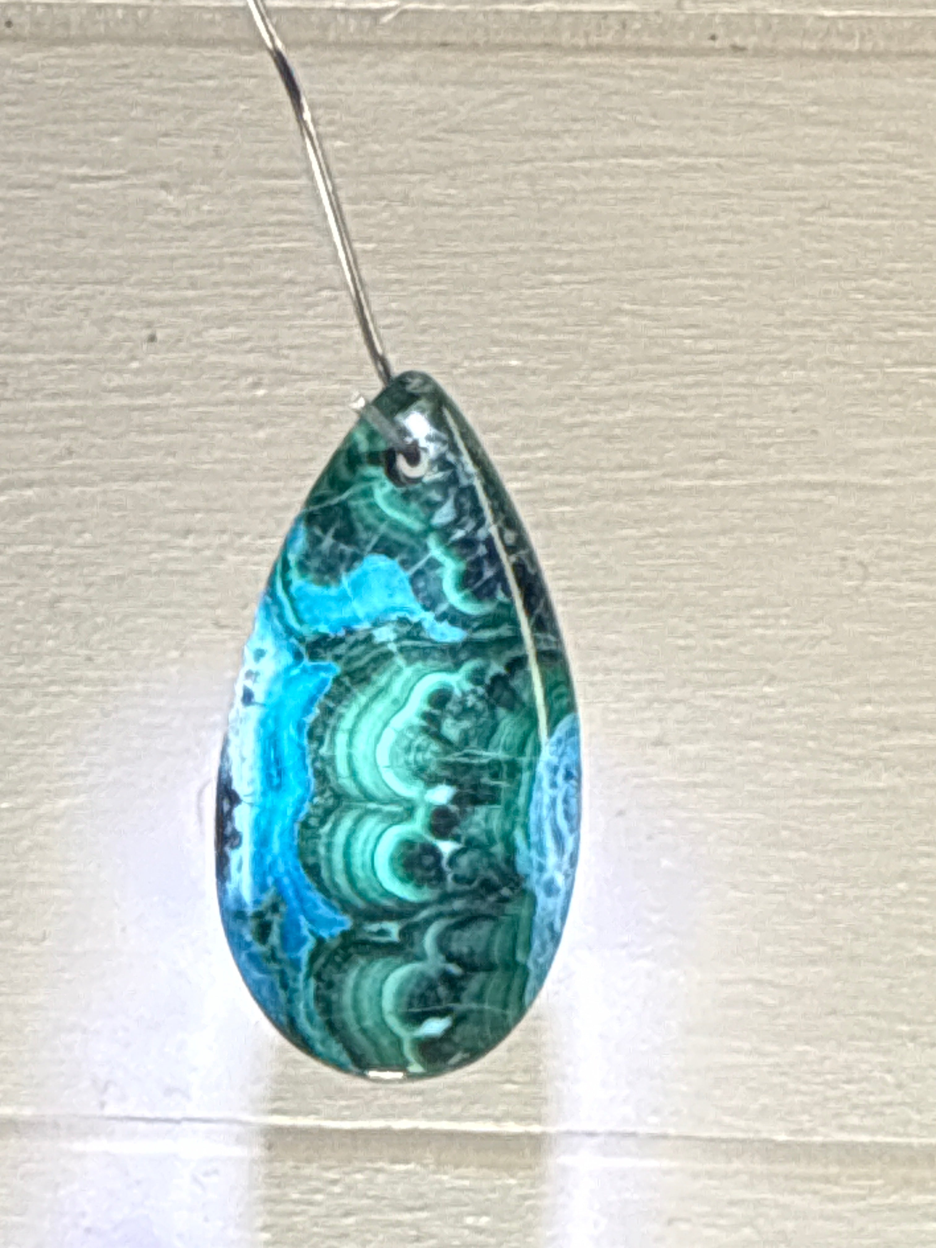 Malacholla Pendant