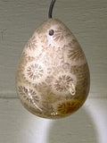 Fossil Coral Pendant