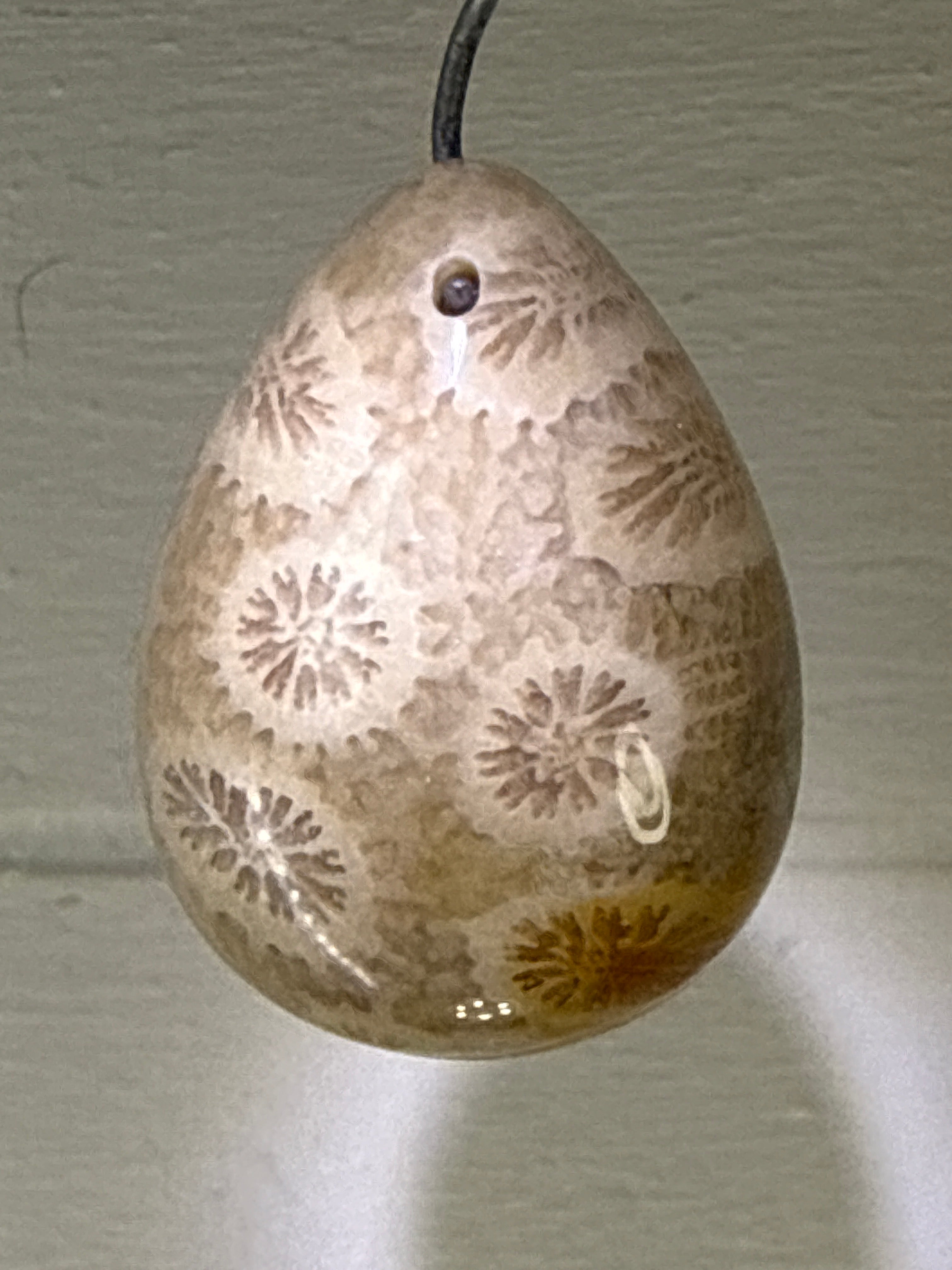 Fossil Coral Pendant