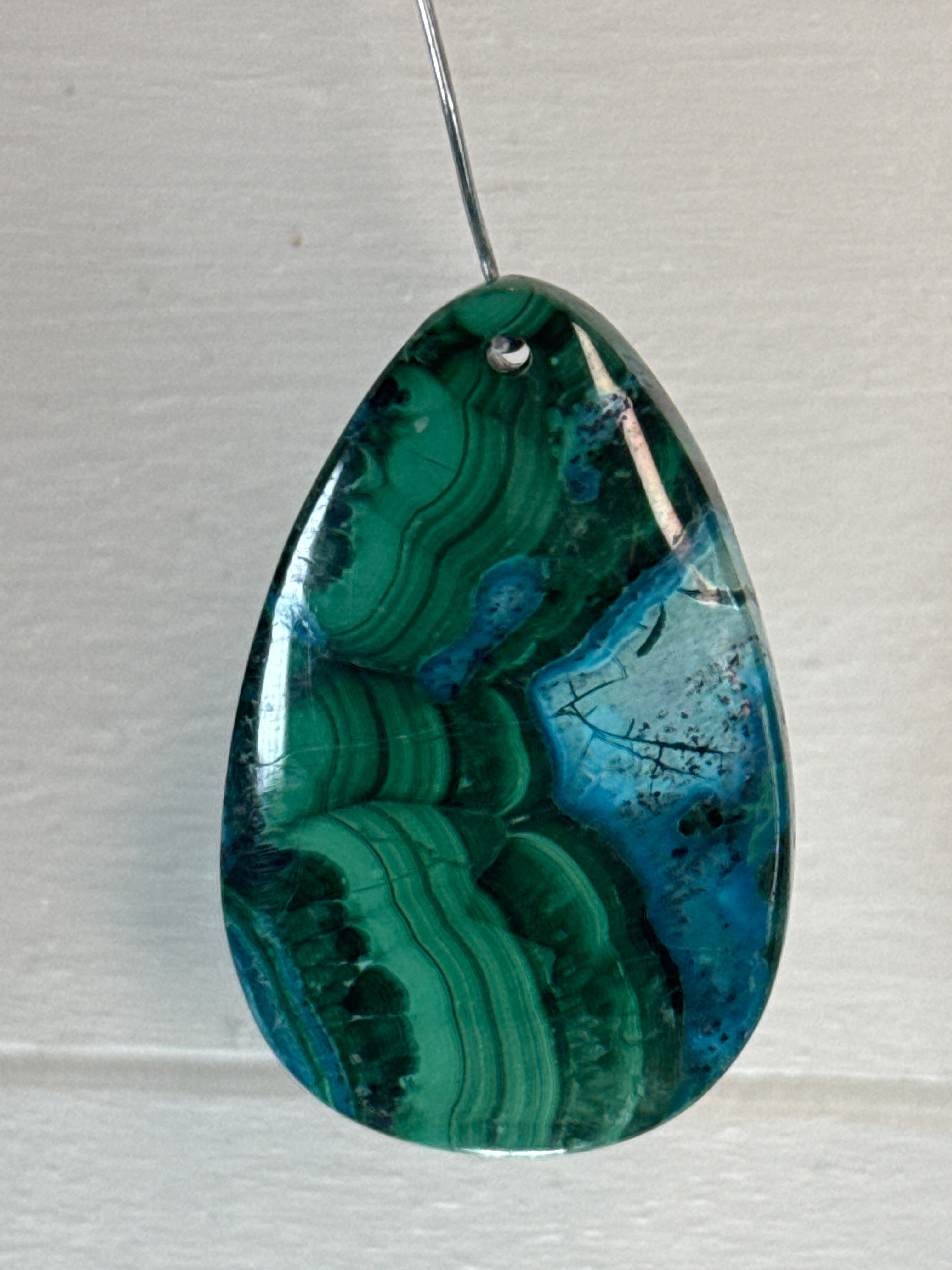 Malacholla Pendant