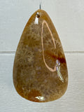 Fossil Coral Pendant