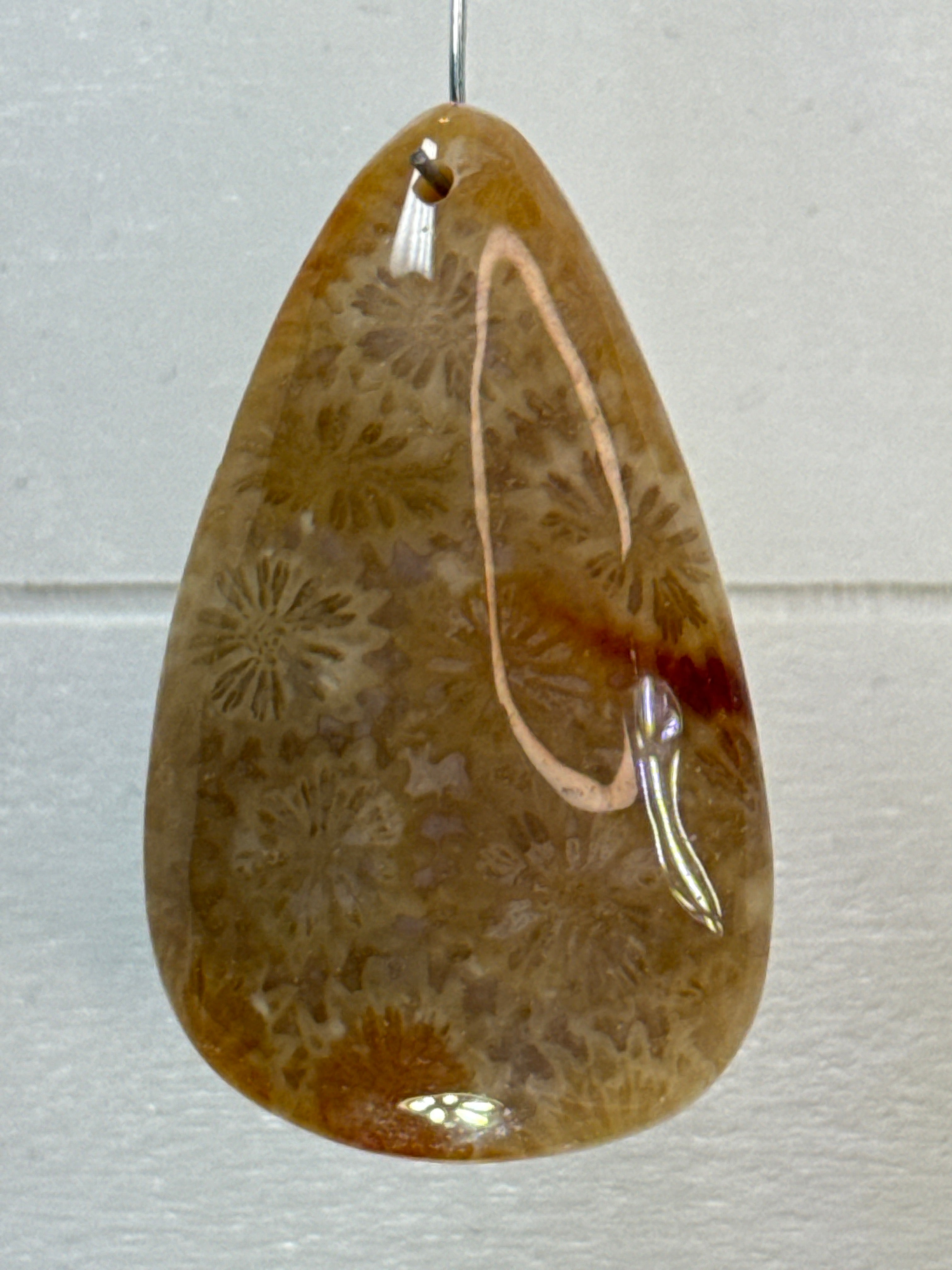Fossil Coral Pendant