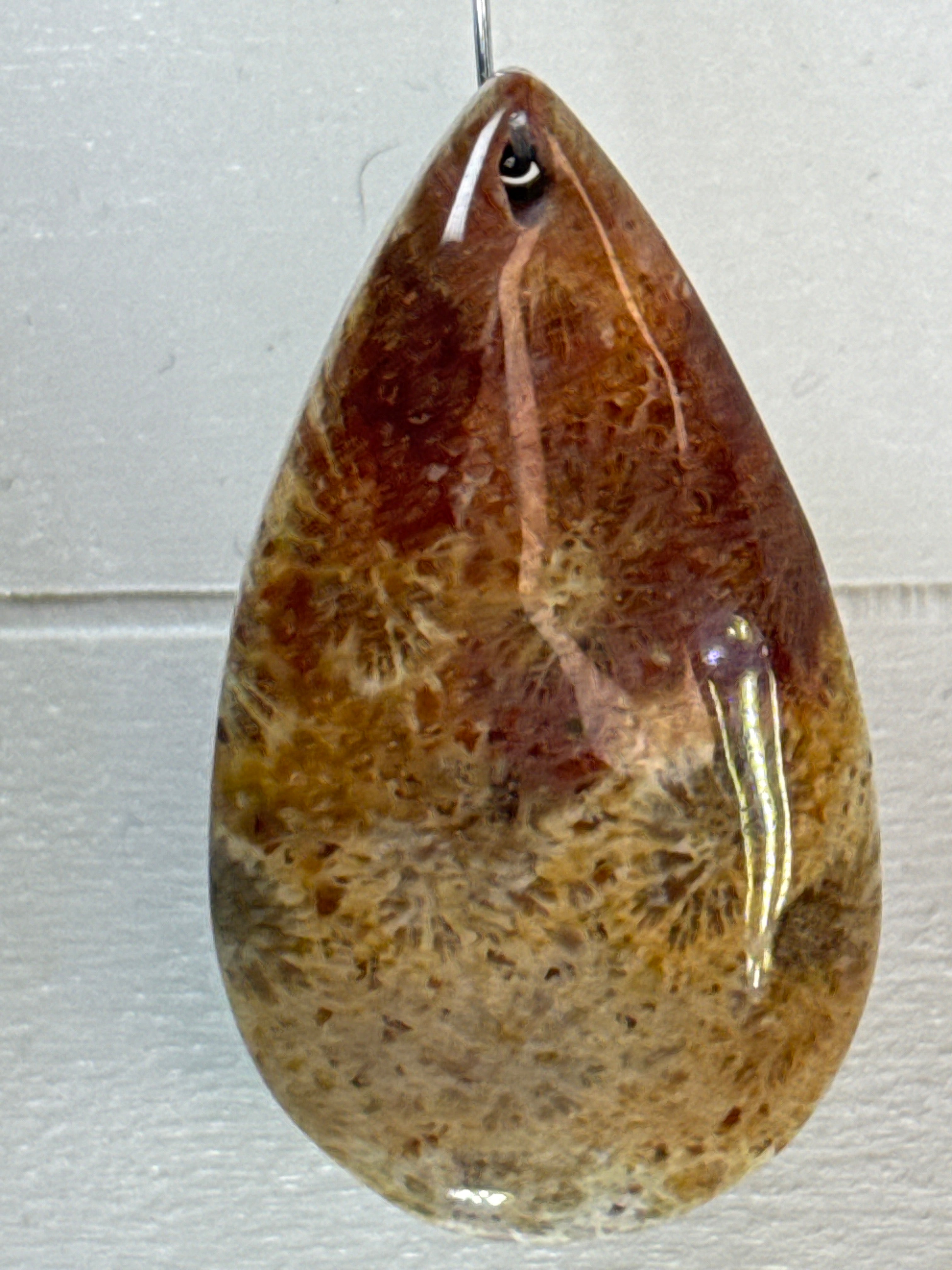 Fossil Coral Pendant