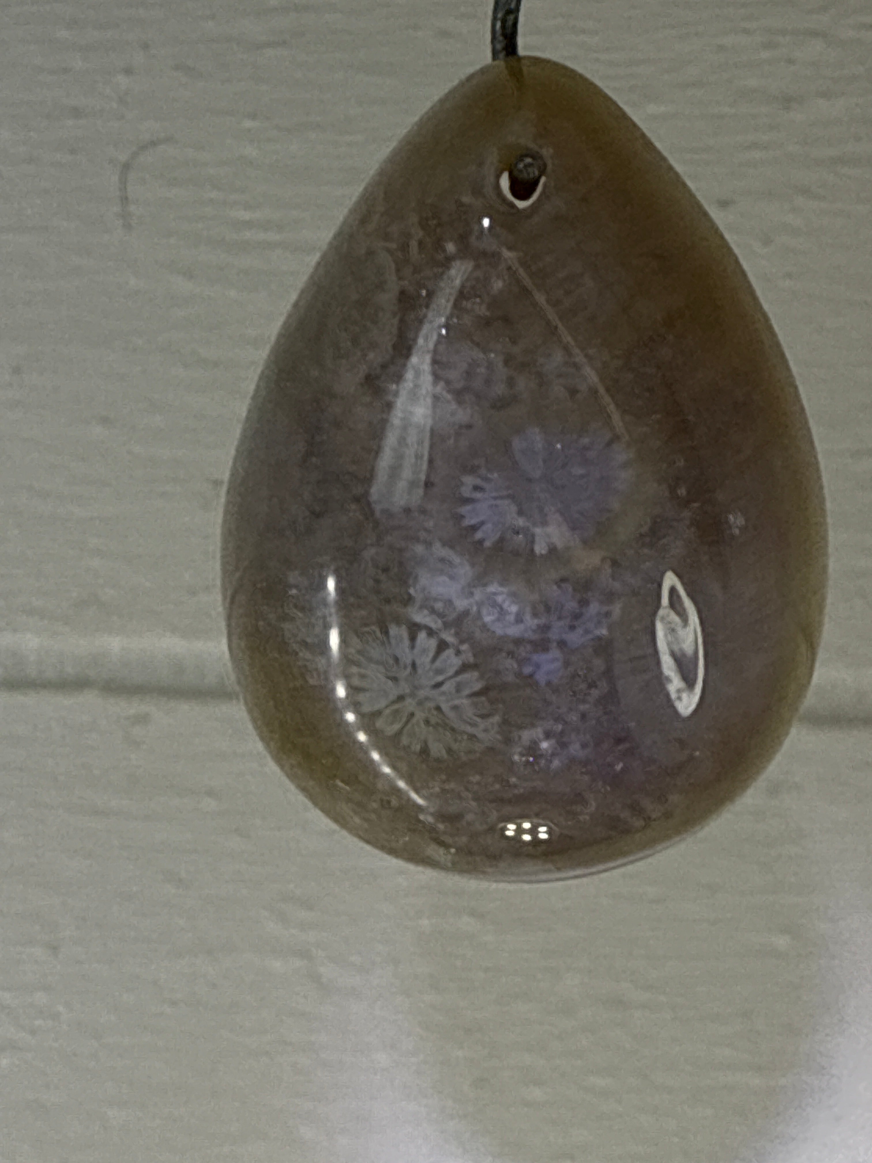 Fossil Coral Pendant
