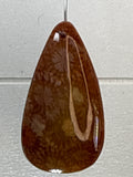 Fossil Coral Pendant
