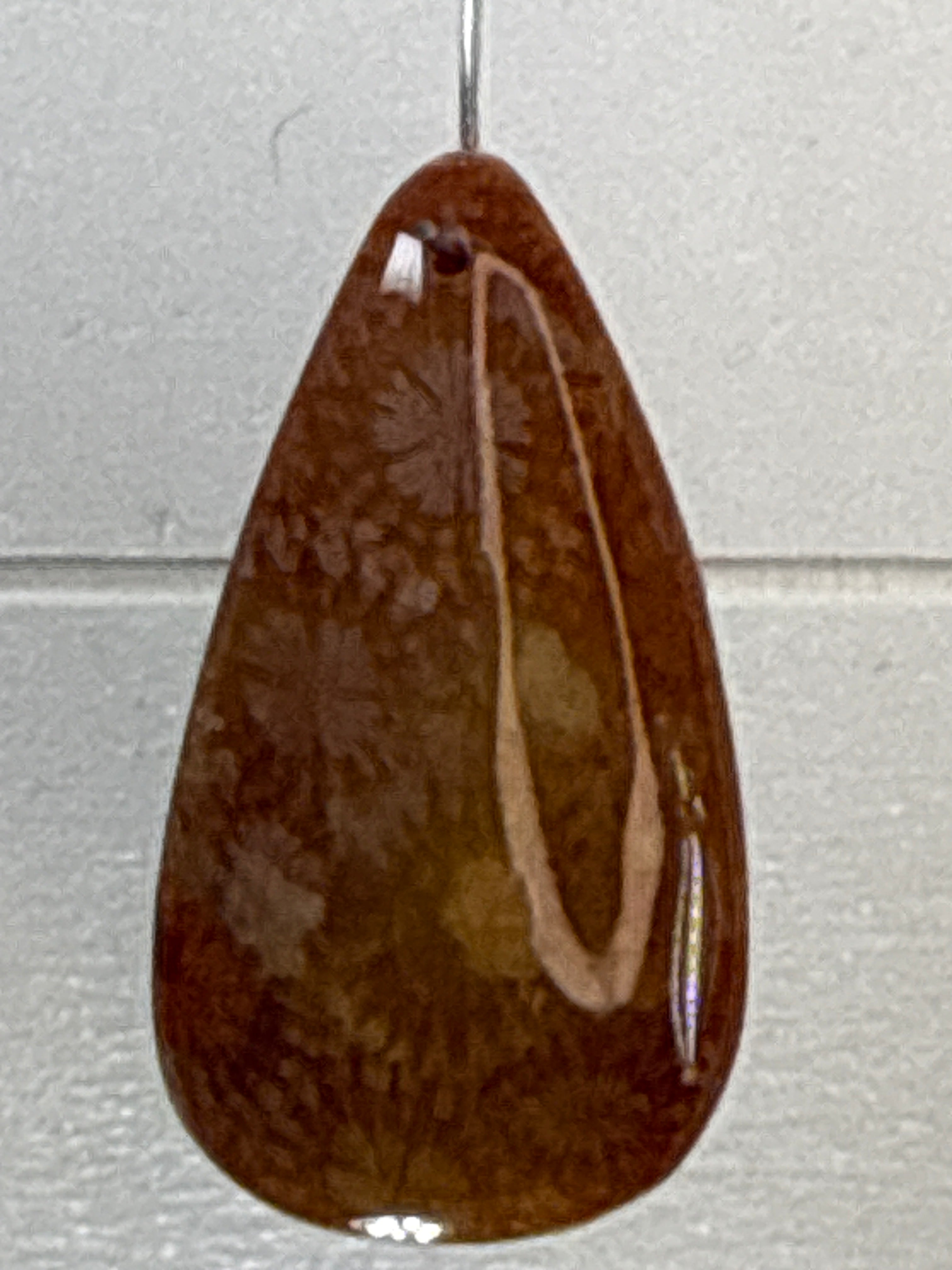 Fossil Coral Pendant