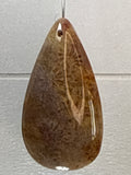 Fossil Coral Pendant