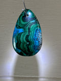 Malacholla Pendant