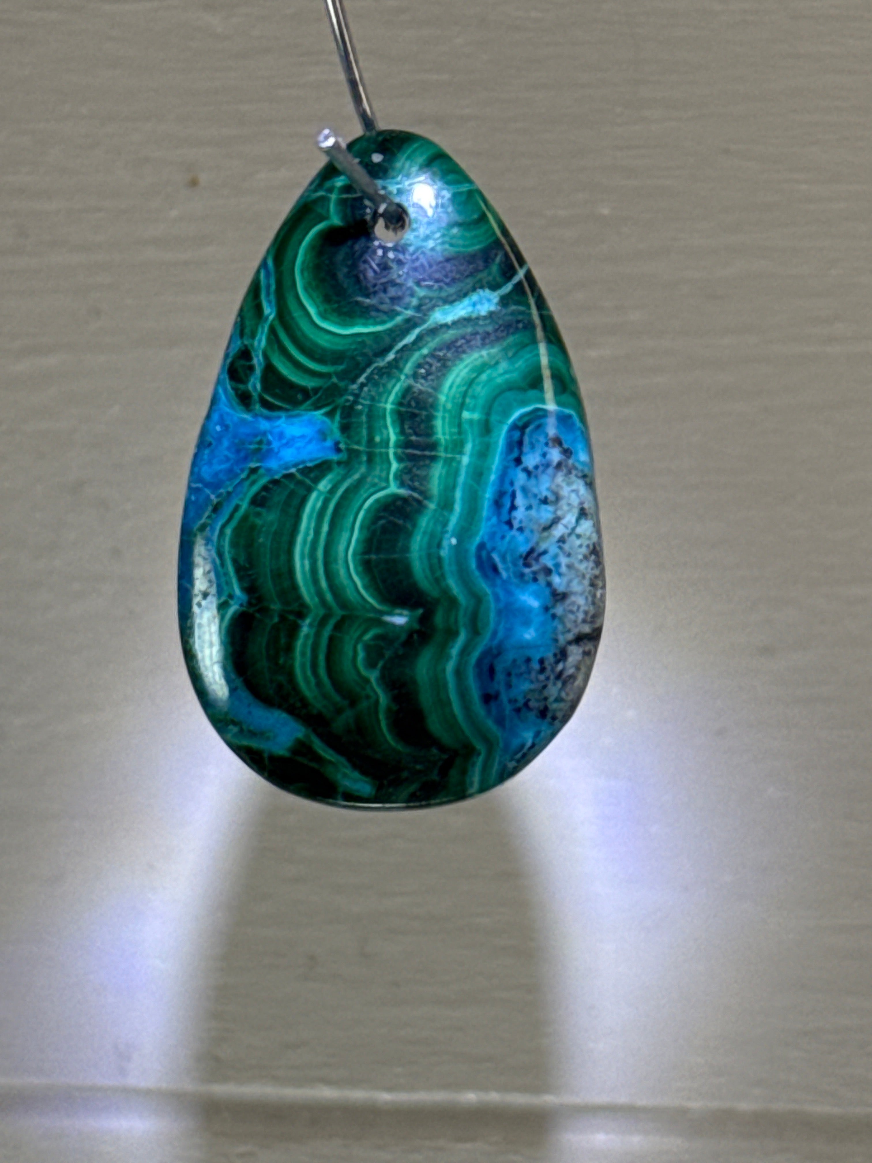 Malacholla Pendant