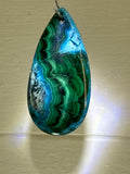 Malacholla Pendant