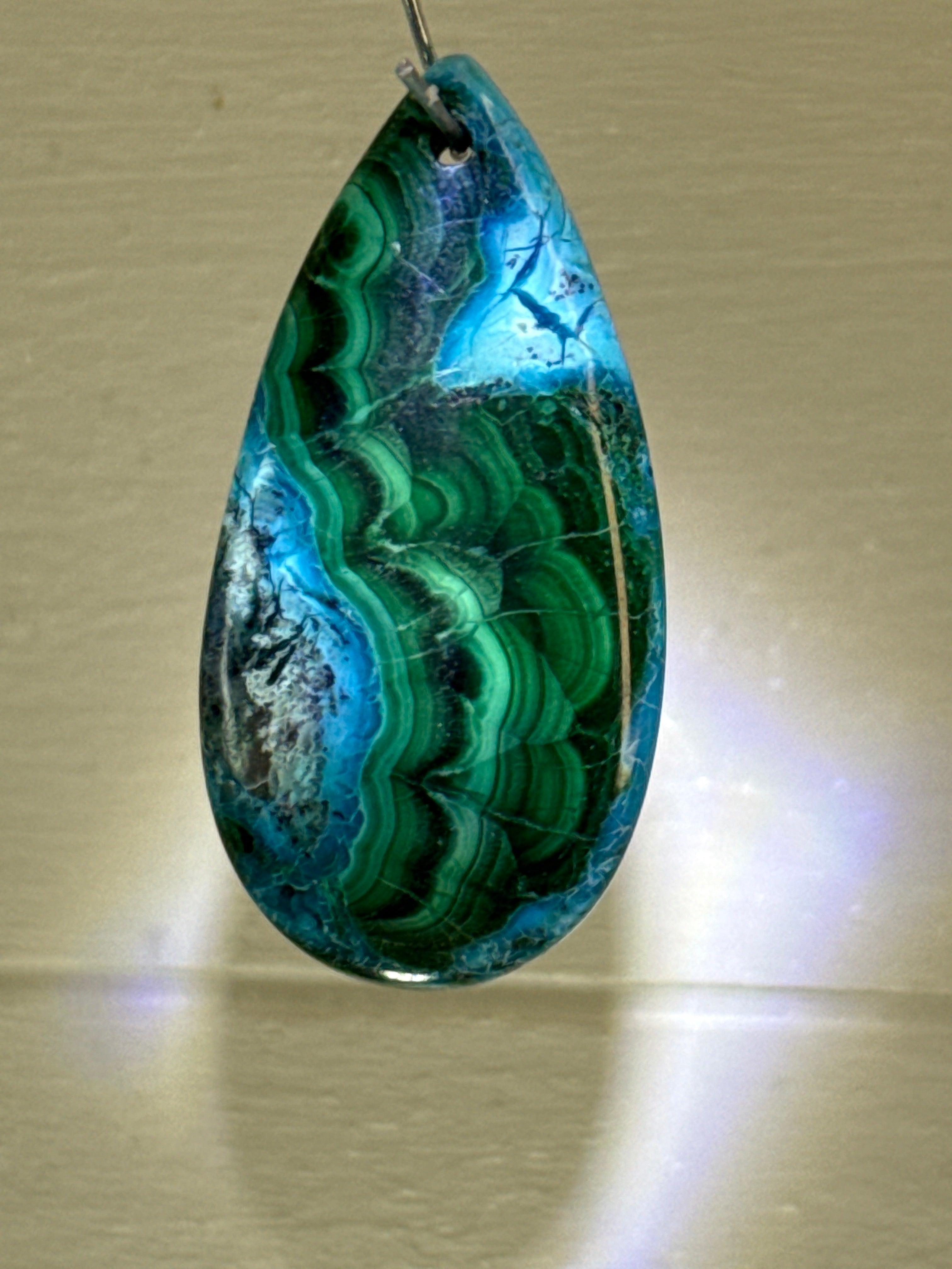 Malacholla Pendant