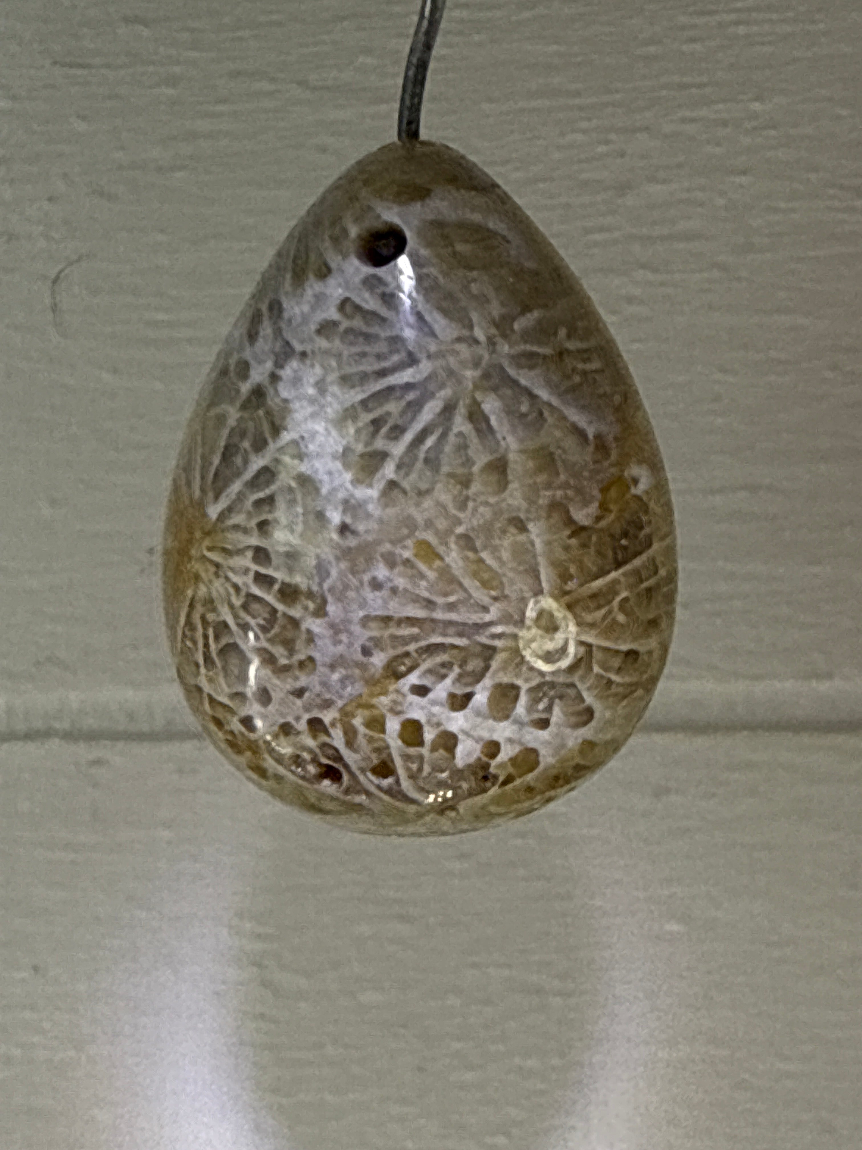 Fossil Coral Pendant