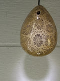Fossil Coral Pendant