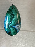 Malacholla Pendant