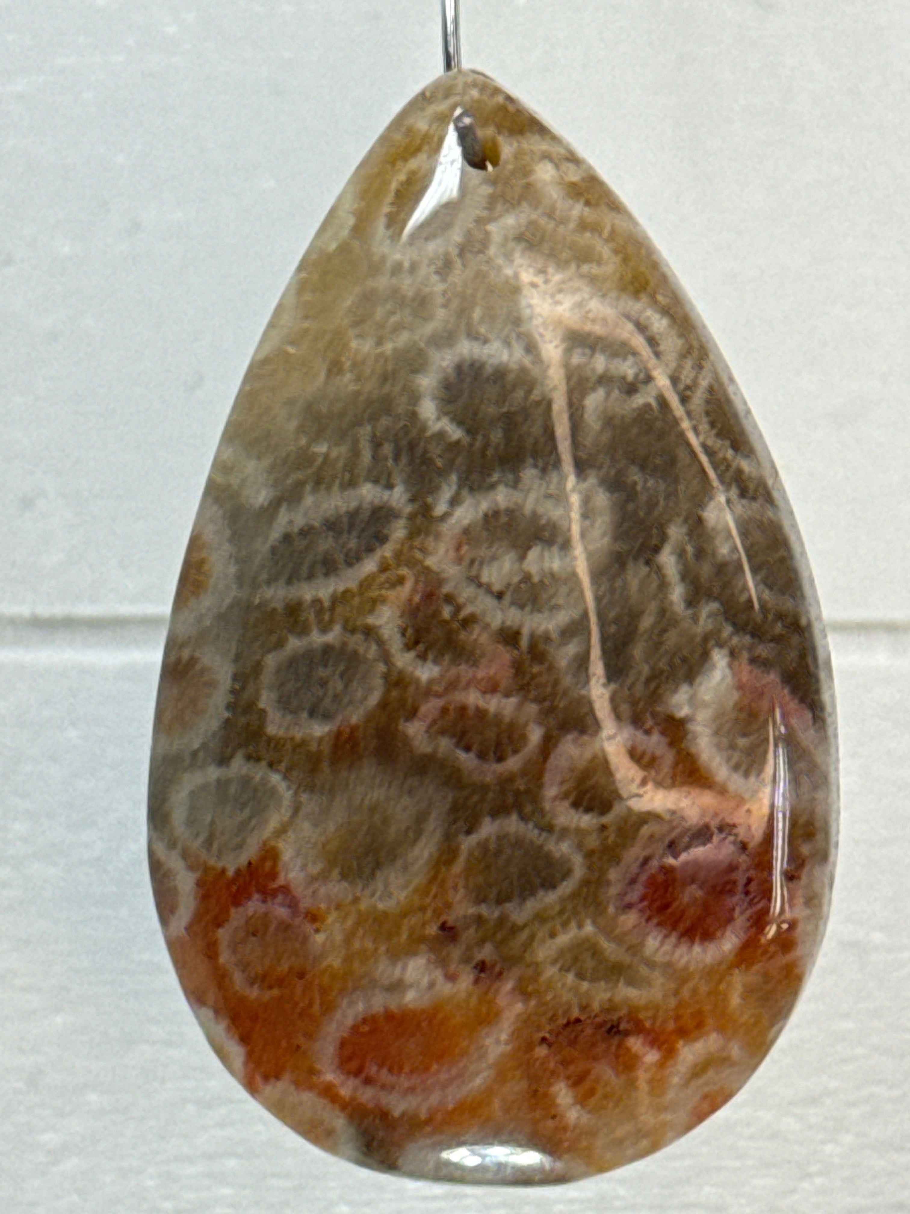 Fossil Coral Pendant