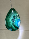 Malacholla Pendant