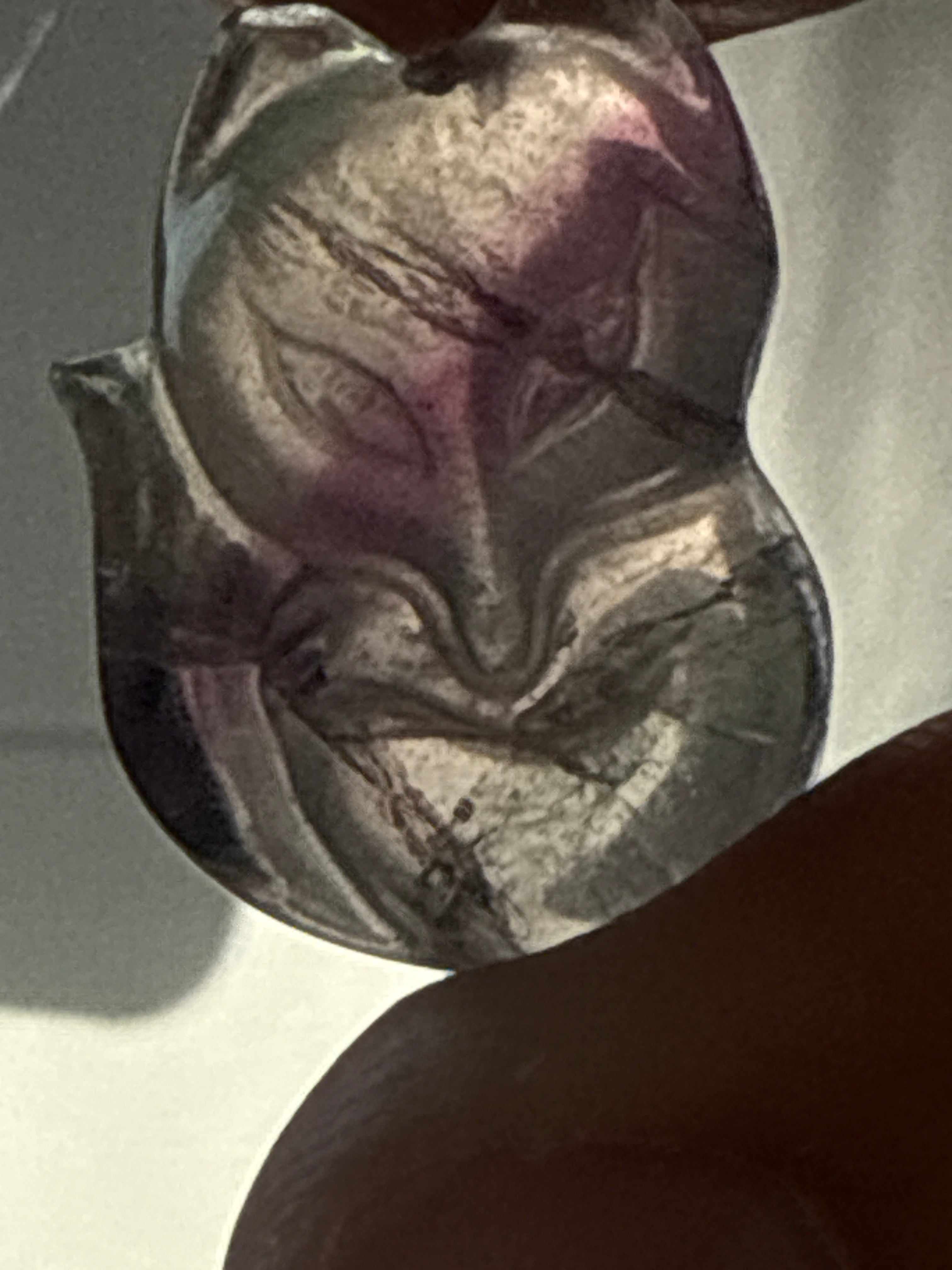 Carved Fluorite Fox Pendant