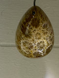 Fossil Coral Pendant