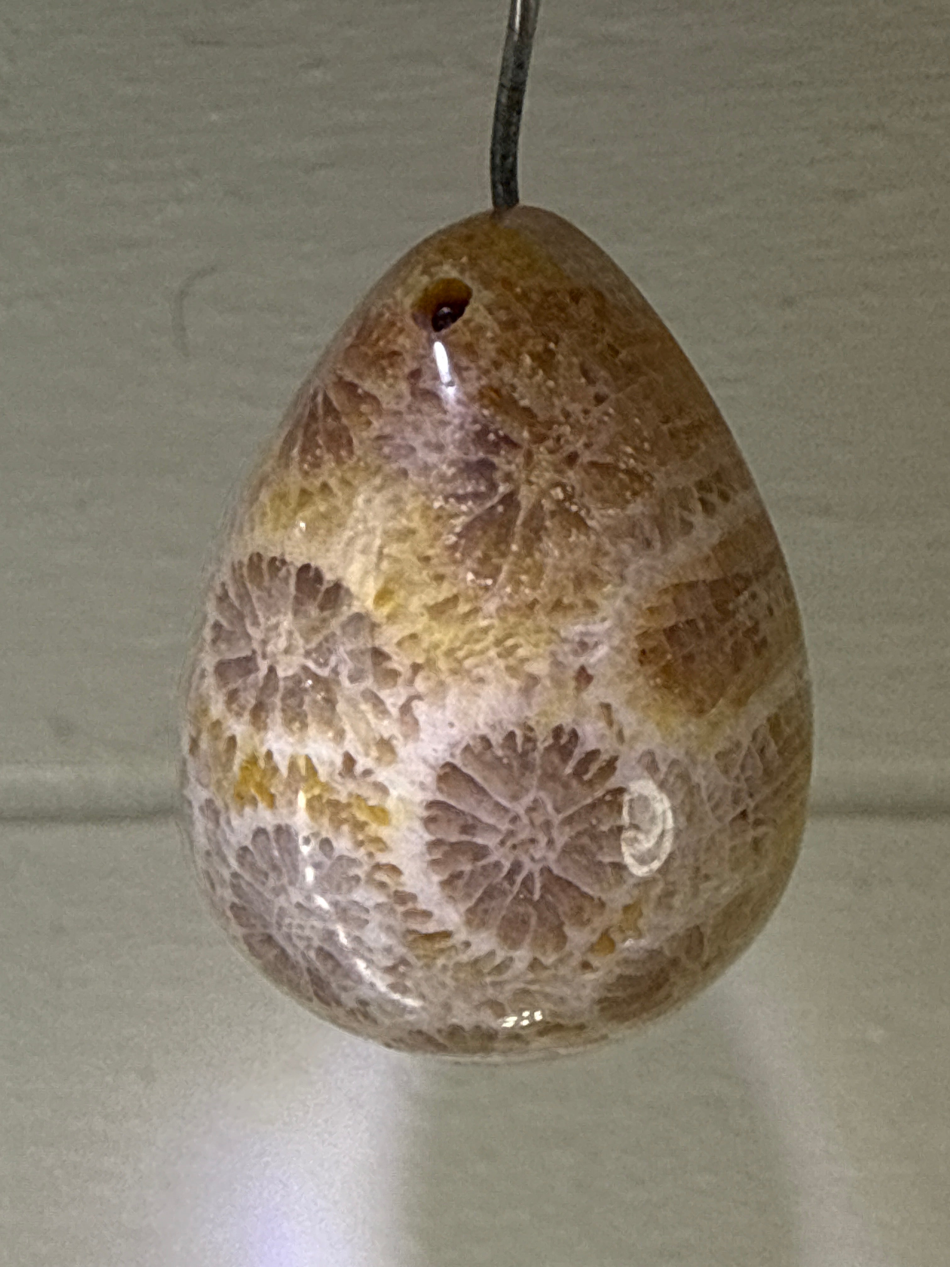 Fossil Coral Pendant