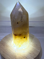 Dendritic Golden Healer Tower