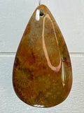 Fossil Coral Pendant