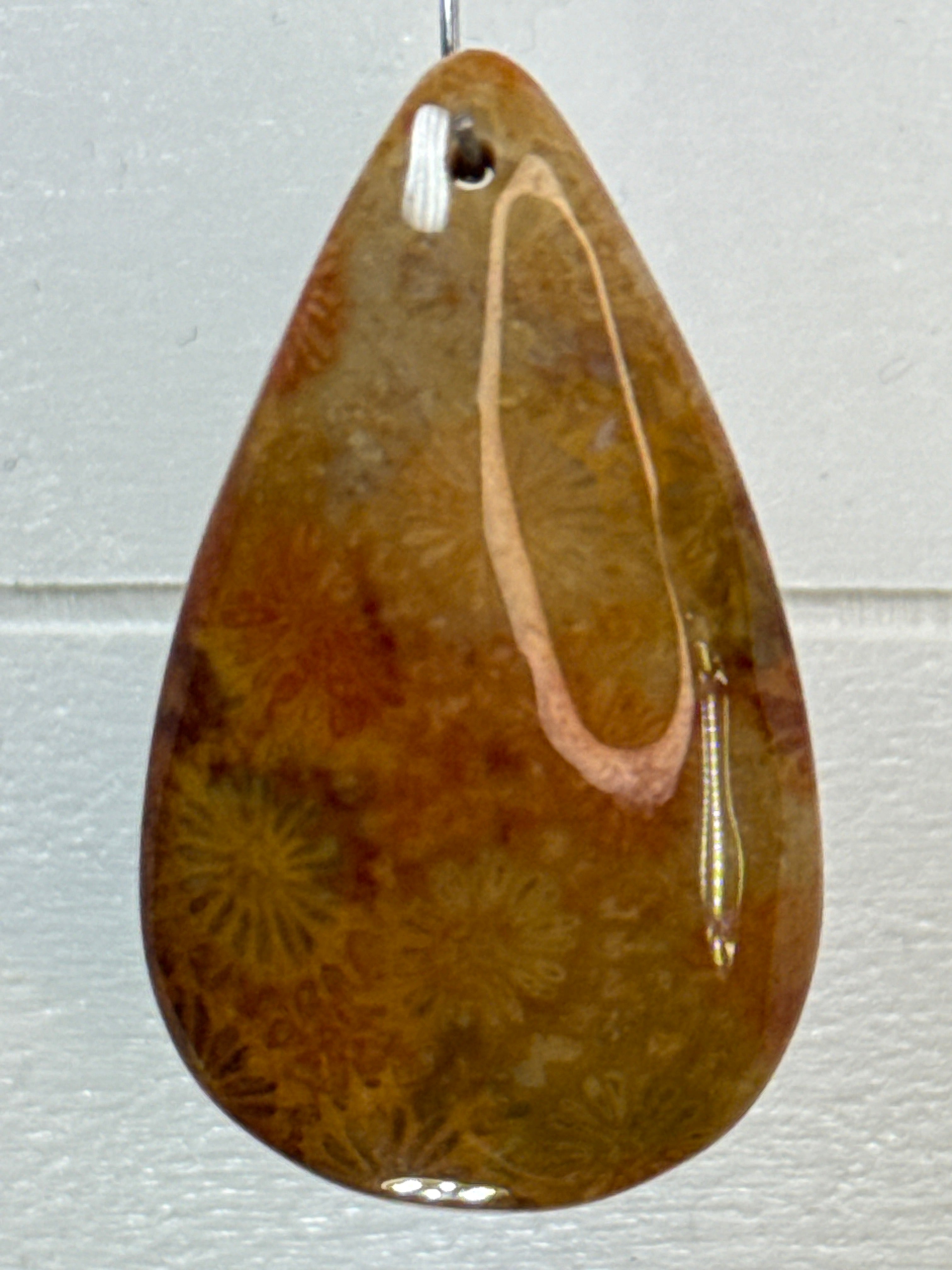 Fossil Coral Pendant