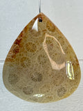 Fossil Coral Pendant