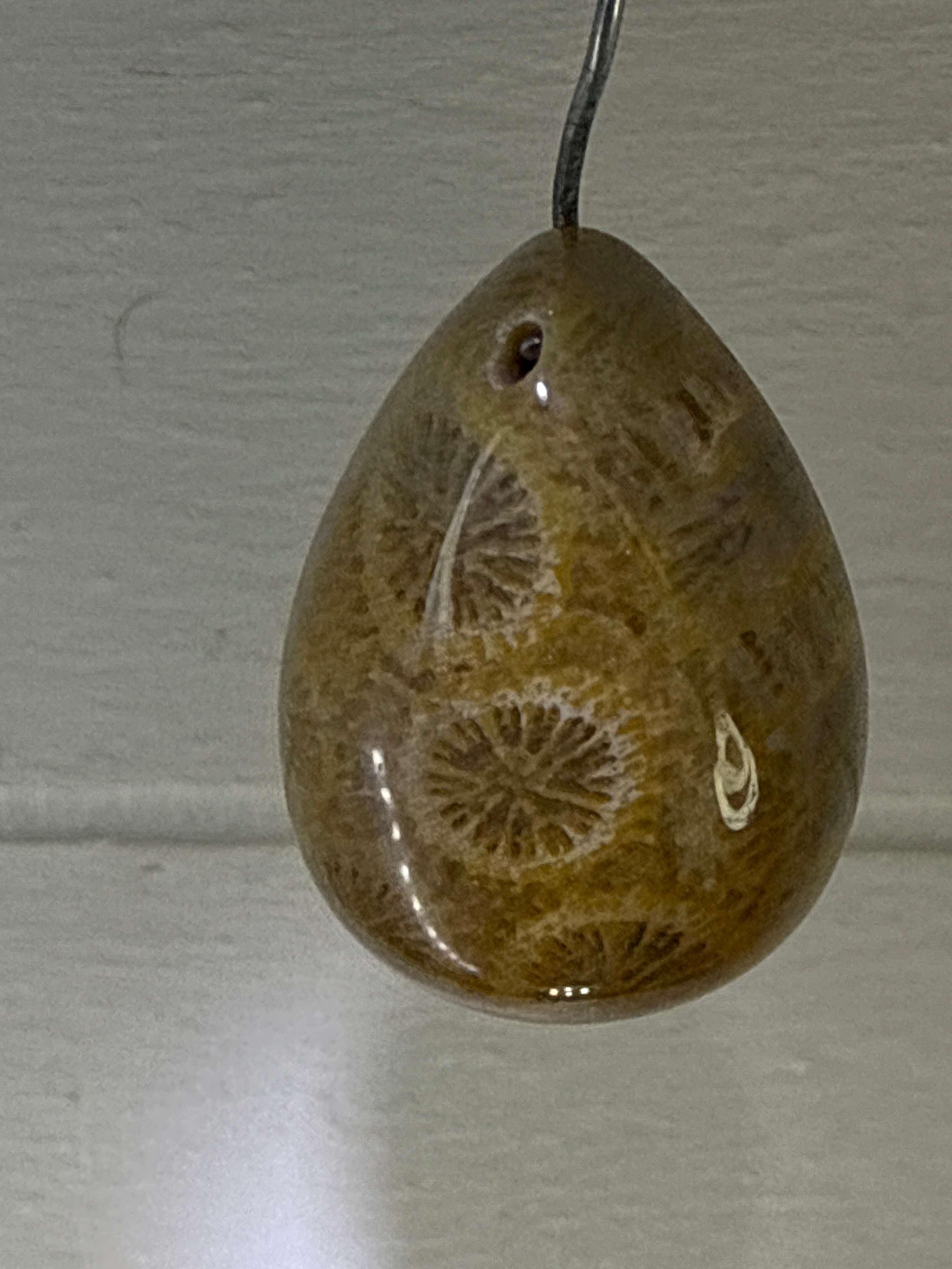 Fossil Coral Pendant