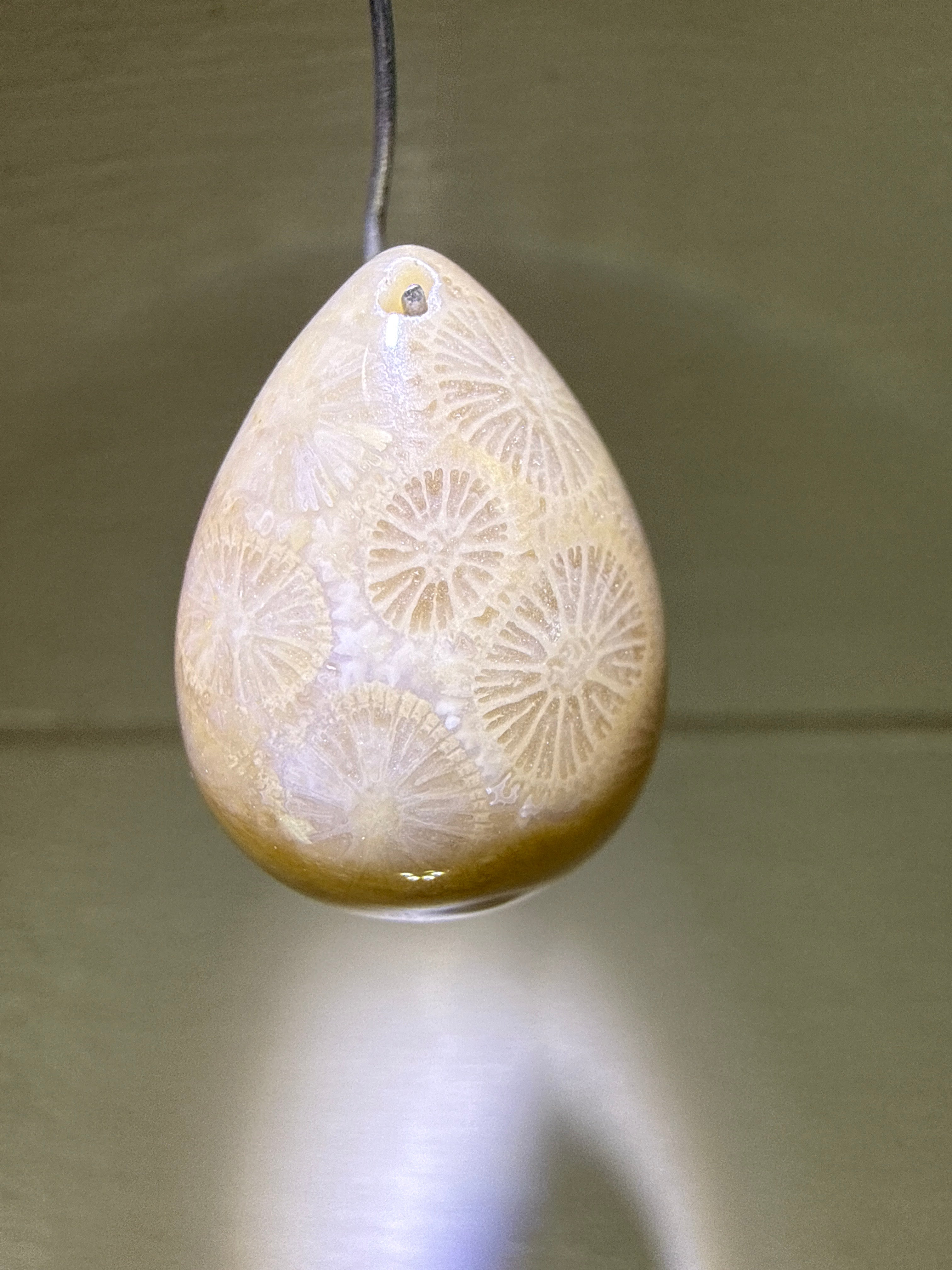 Fossil Coral Pendant
