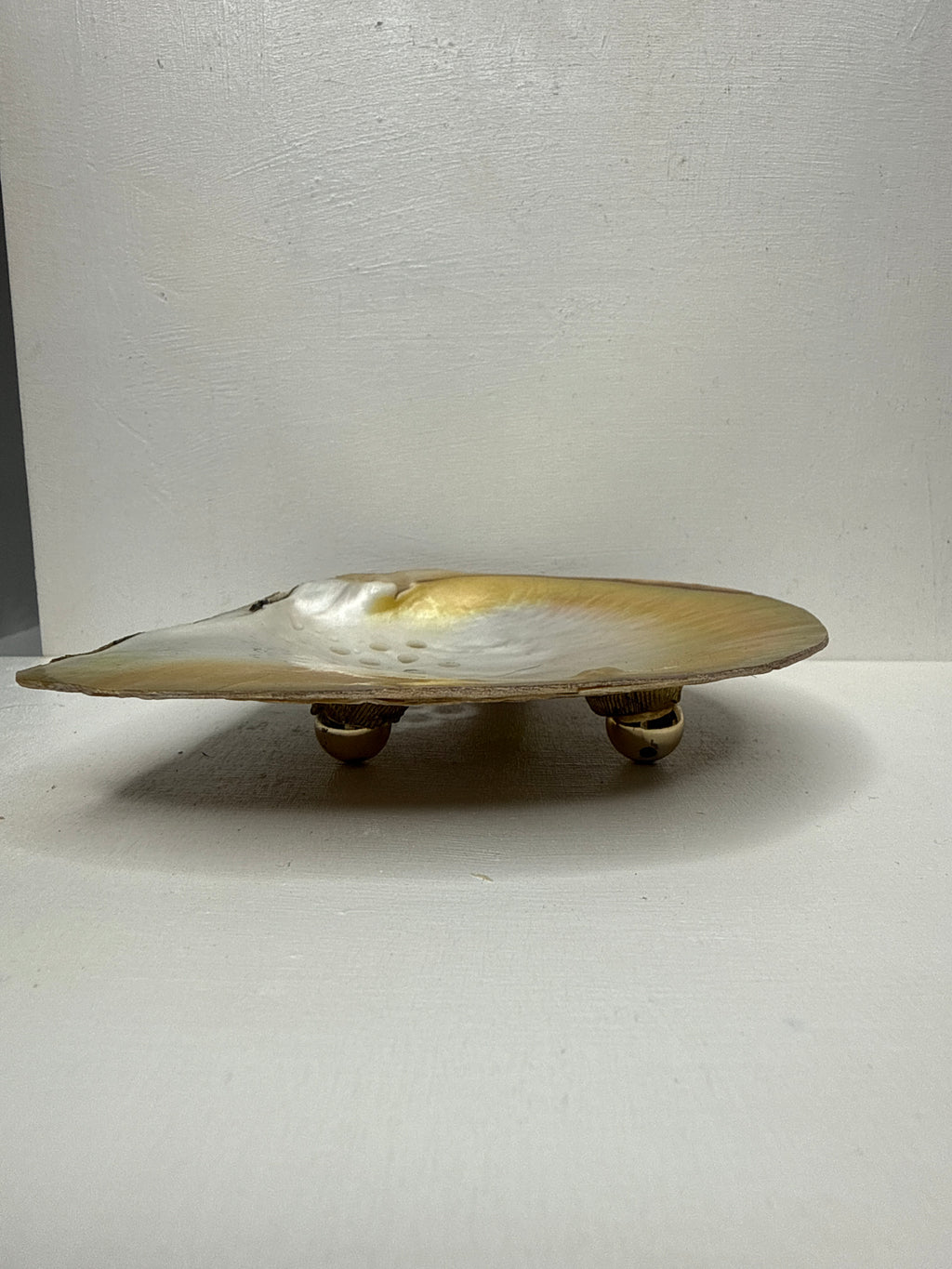 Oyster Shell Trinket Dish