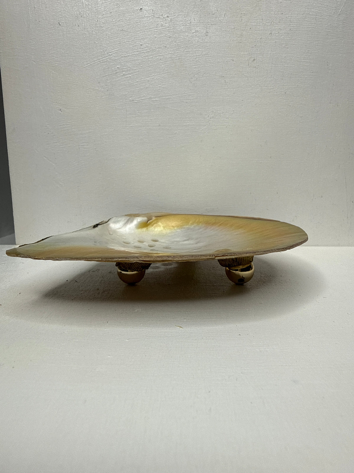 Oyster Shell Trinket Dish