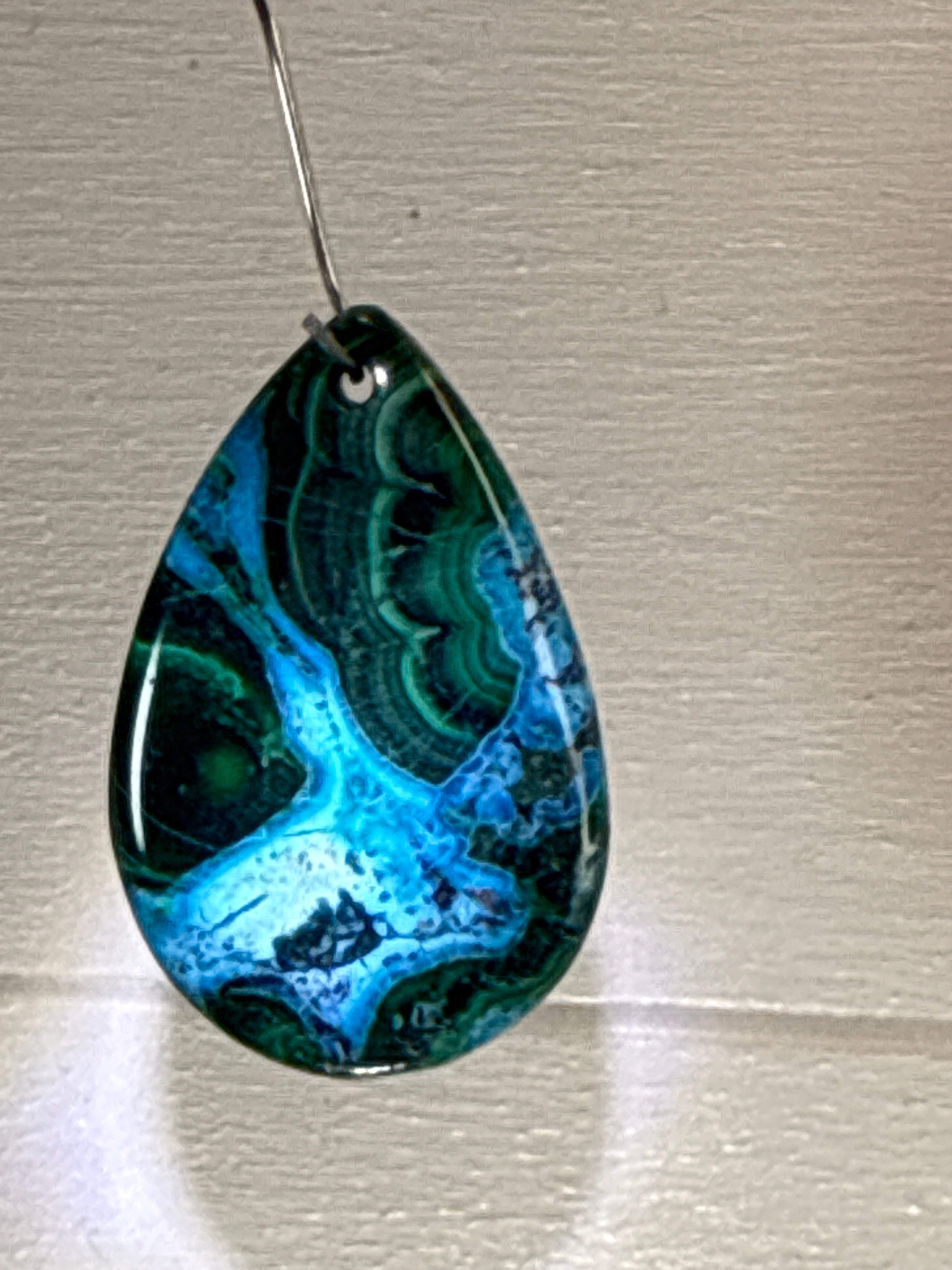 Malacholla Pendant