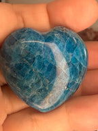 Blue Appetite Heart